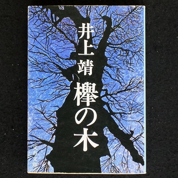 Amazon.co.jp: 四角な船 (新潮文庫 い 7-23) : 井上 靖: 本